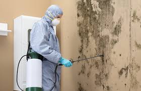 Professional Mold Removal in Dravosburg, PA